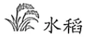 2026年地理中考热点(28)——世界粮食日 第26张