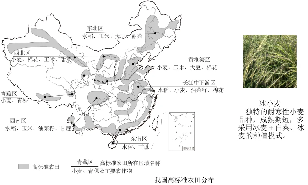 2026年地理中考热点(28)——世界粮食日 第32张