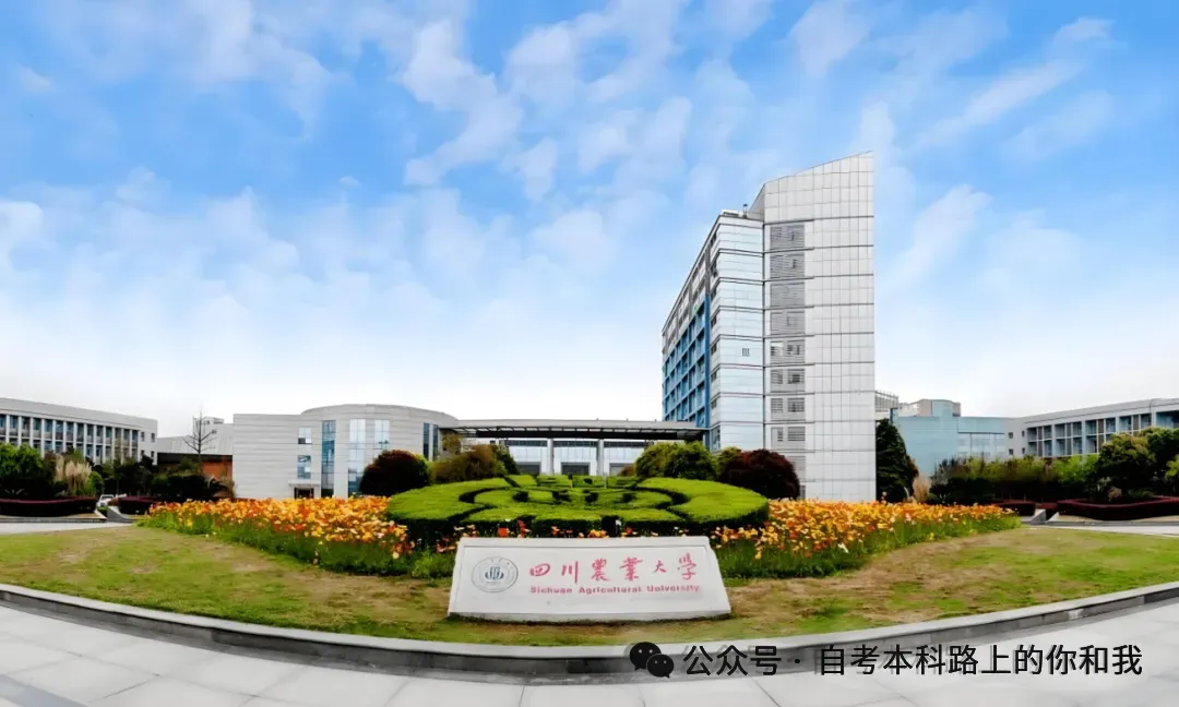 2026年同等学力申硕统考倒计时~历年真题分享~助你顺利通过~ 第3张