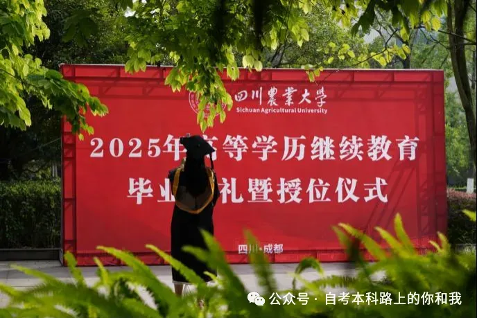 2026年同等学力申硕统考倒计时~历年真题分享~助你顺利通过~ 第26张