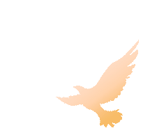 我校举办“中考'心'动力 减压赋能”专题讲座活动 第10张 我校举办“中考'心'动力 减压赋能”专题讲座活动 第10张