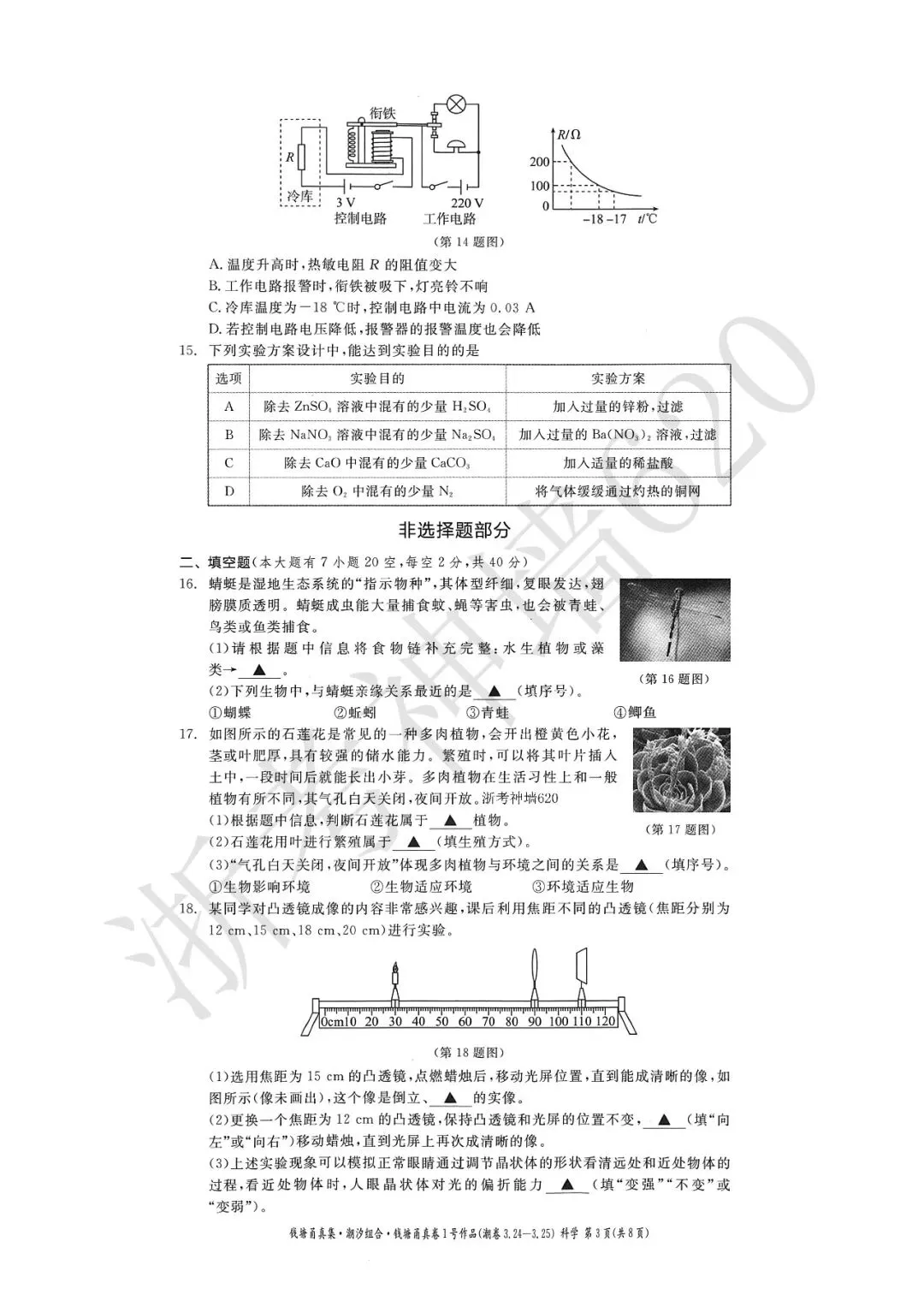 26模拟考|钱塘甬真卷1号作品·潮卷(全科) 第42张