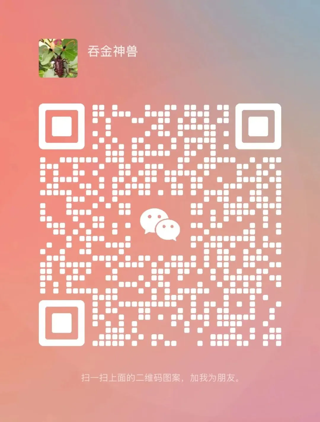 【山东卷】山东省枣庄市2026届高三年级模拟考试(枣庄二调)(3.25-3.27) 全科试题卷+答案 第25张