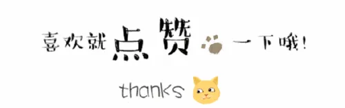 2026中考英语总复习--七年级上册 第11张 2026中考英语总复习--七年级上册 第11张