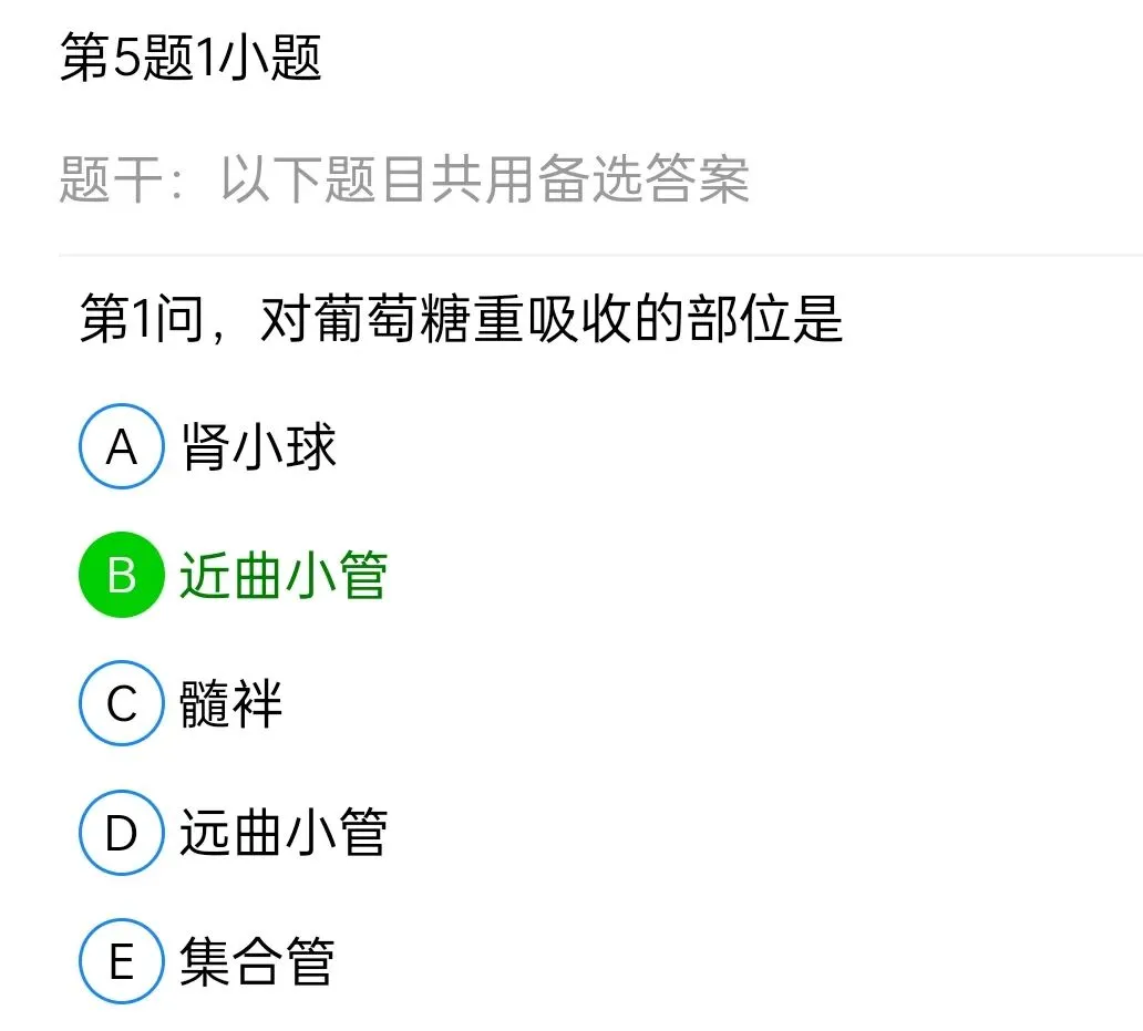 历年真题回顾2010师基础知识 第96张