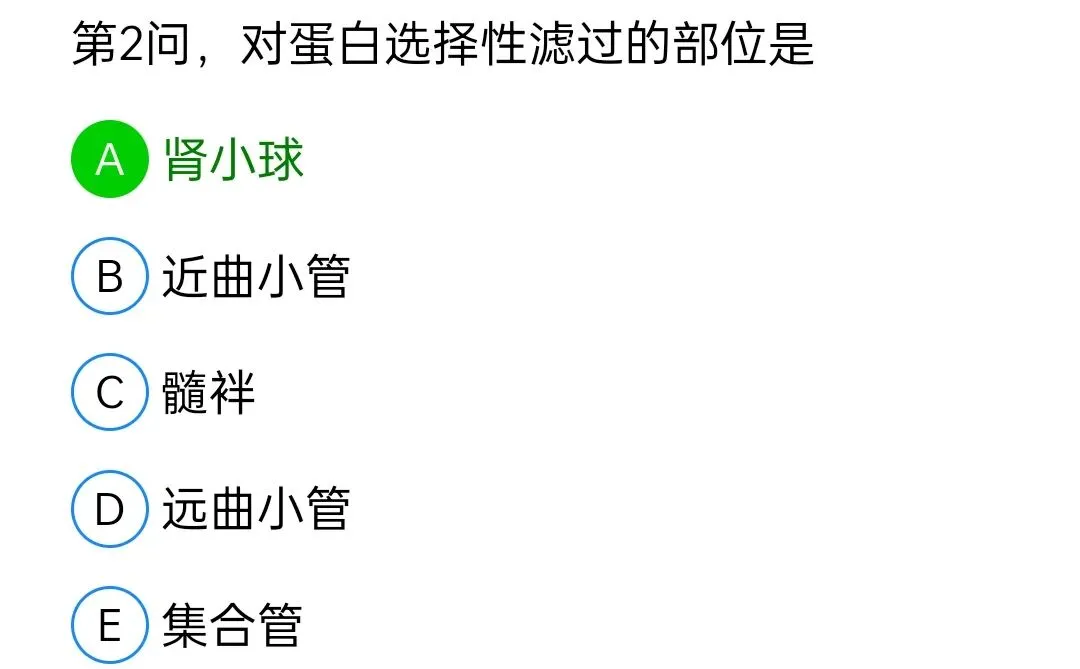 历年真题回顾2010师基础知识 第97张