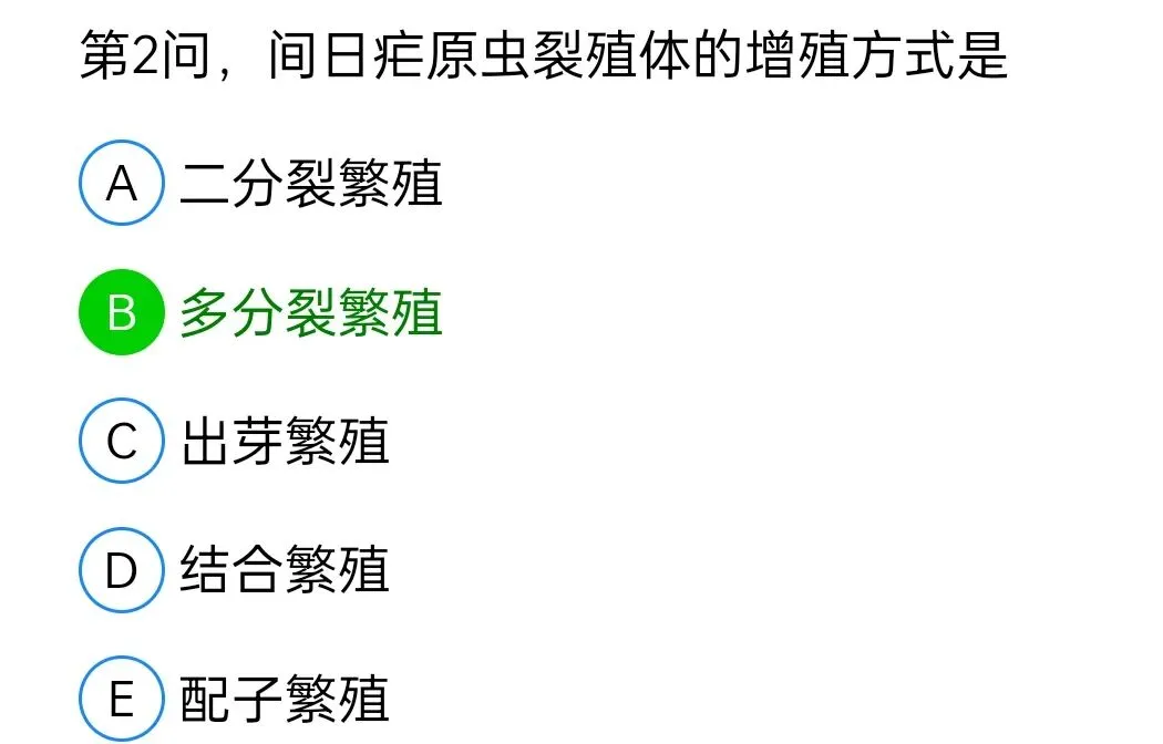 历年真题回顾2010师基础知识 第100张