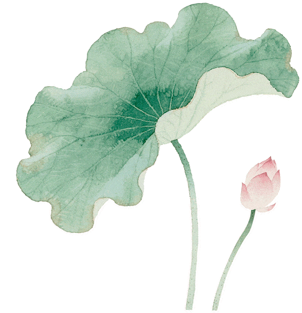 中考后想在广州读宠物专业,选择这所学校——广州涉外经济职业技术学院中职部 第5张