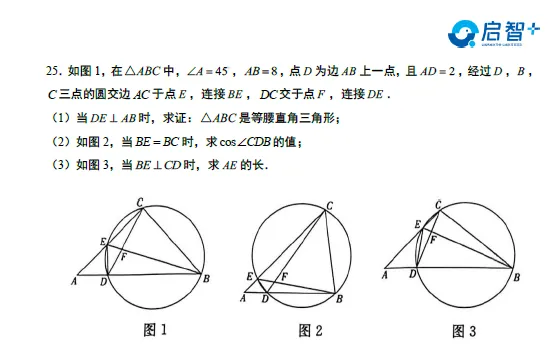 25-26附中初三数学一模试卷【视频讲解】+【试卷分析】 第19张