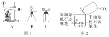 1733 2026年湖北省中考化学模拟试题 (Word版免费下载) 第13张