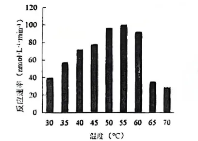 24/25 年贵州生物高考真题精析:光合 / 呼吸 酶代谢高频考点汇总 第4张