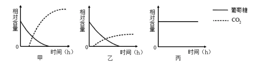 24/25 年贵州生物高考真题精析:光合 / 呼吸 酶代谢高频考点汇总 第7张