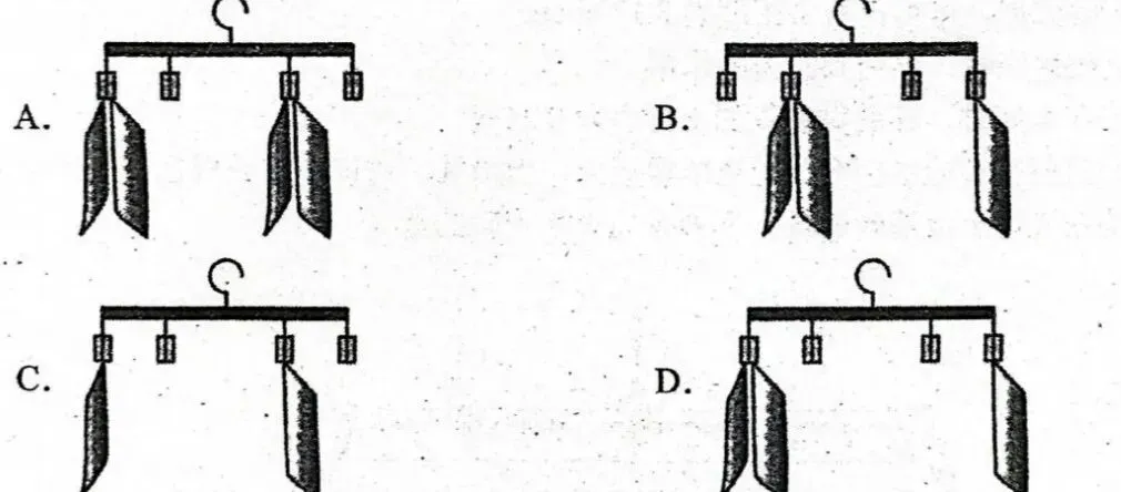 2026年河南省实验中学3月月考物理试卷及答案(word版+图片版) 第5张
