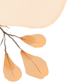 聚焦中考 徐州市初中物理“三新四行动” 暨中考复习培训会在三十二中学圆满举行 第1张