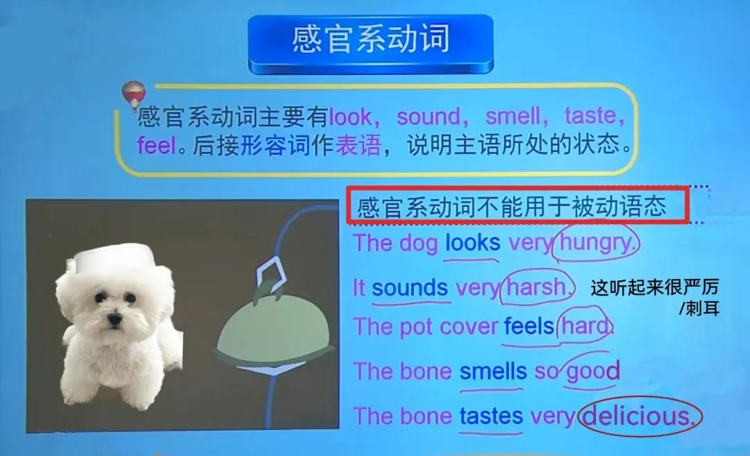 中考考点: Unit7通常涉及青少年生活的观点、规则与自由等话题的备考痛点是什么? 第5张