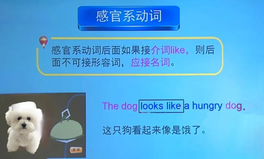 中考考点: Unit7通常涉及青少年生活的观点、规则与自由等话题的备考痛点是什么? 第6张