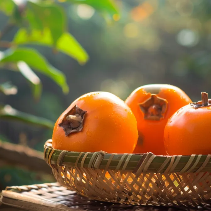 2026年中考 语文英语二轮复习讲练测 第3张