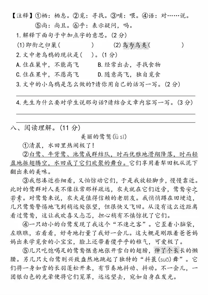 26年春三年级下册语文《第一次月考试卷》共3套含答案,电子版可打印 第6张