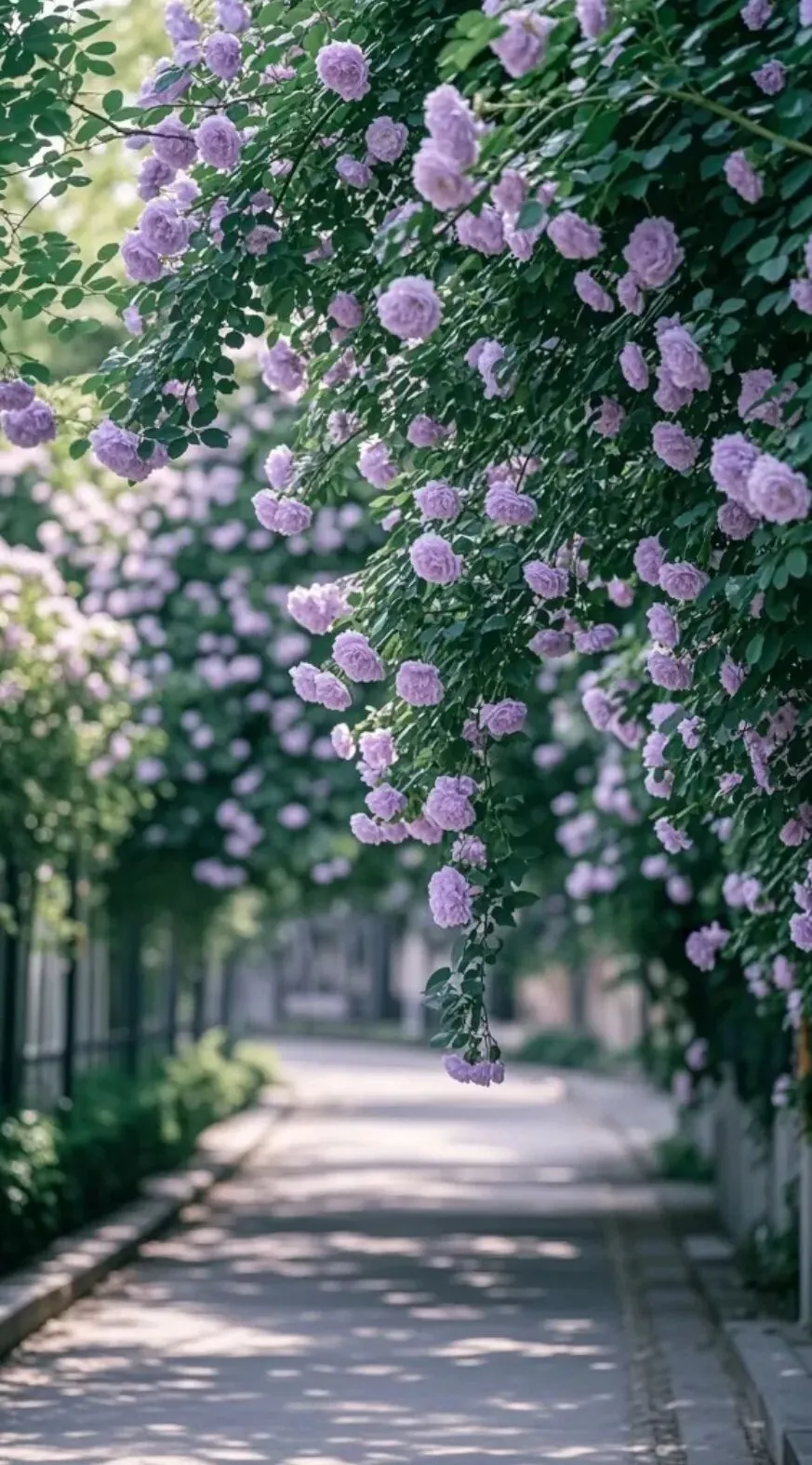 第一次模拟考试前七天如何复习?陪孩子稳稳走好 第1张