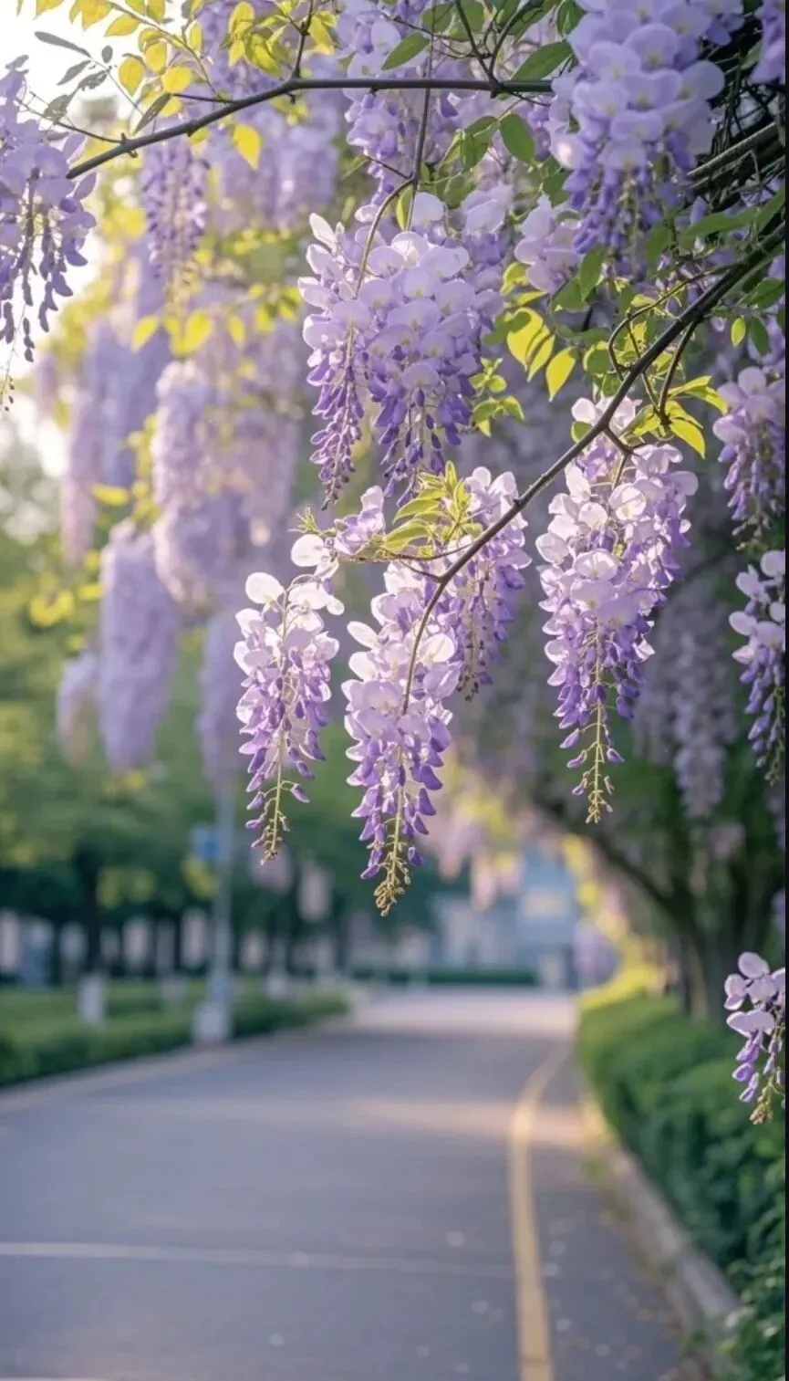第一次模拟考试前七天如何复习?陪孩子稳稳走好 第2张
