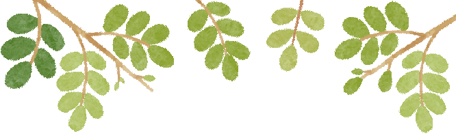 同课异构亮匠心 研思共进备中考---六盘水市2026年中考备考巡回培训活动盘州市分会场在盘州市第十一中学圆满举行 第15张 同课异构亮匠心 研思共进备中考---六盘水市2026年中考备考巡回培训活动盘州市分会场在盘州市第十一中学圆满举行 第15张