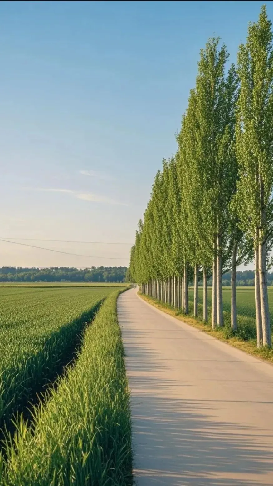 第一次模拟考试前七天如何复习?陪孩子稳稳走好 第5张