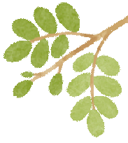 同课异构亮匠心 研思共进备中考---六盘水市2026年中考备考巡回培训活动盘州市分会场在盘州市第十一中学圆满举行 第43张 同课异构亮匠心 研思共进备中考---六盘水市2026年中考备考巡回培训活动盘州市分会场在盘州市第十一中学圆满举行 第43张