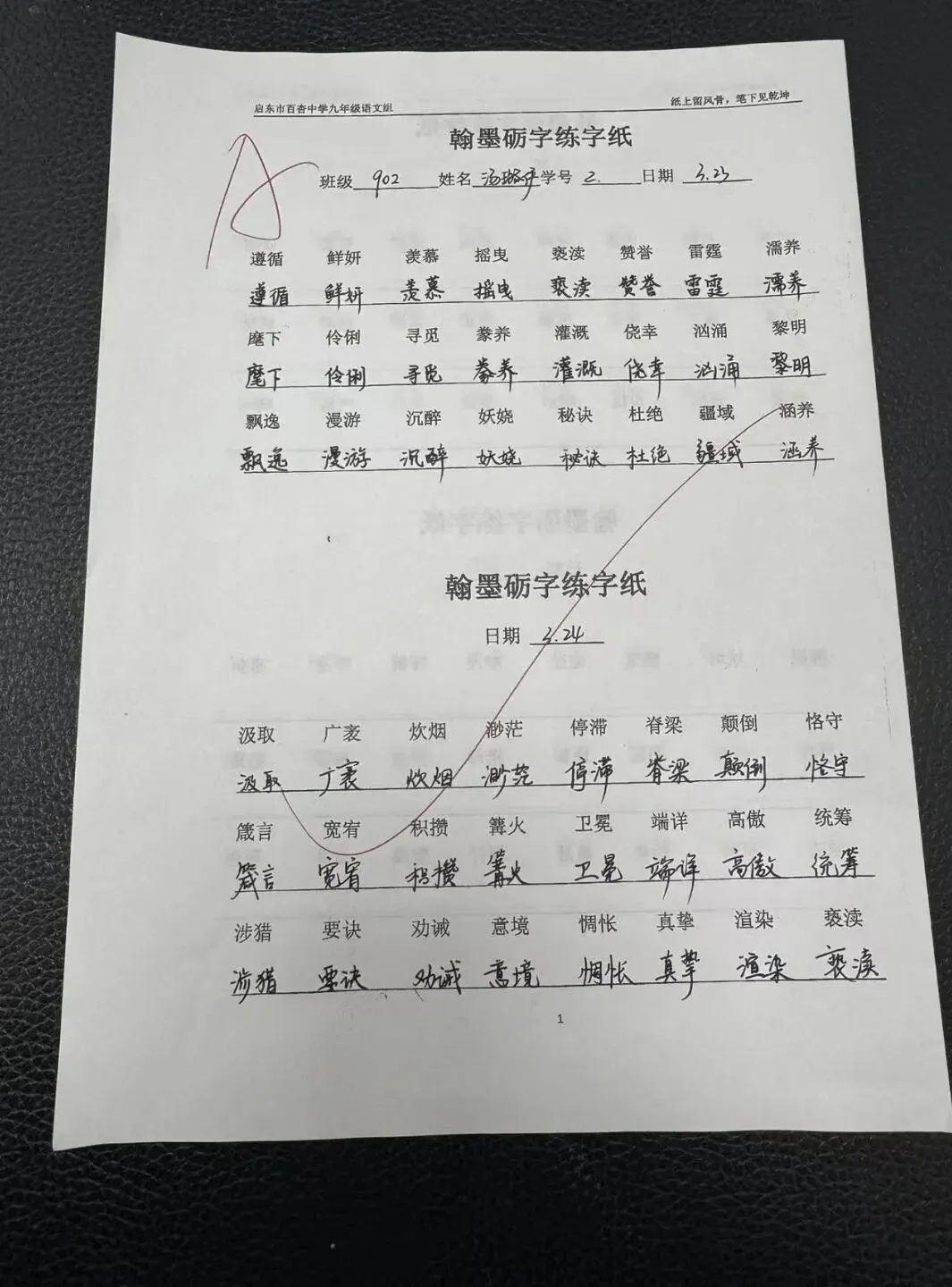 【360°融心课堂】墨润中考,以书提质——百杏中学九年级 “翰墨砺字” 书写工程作品展(第二期) 第10张