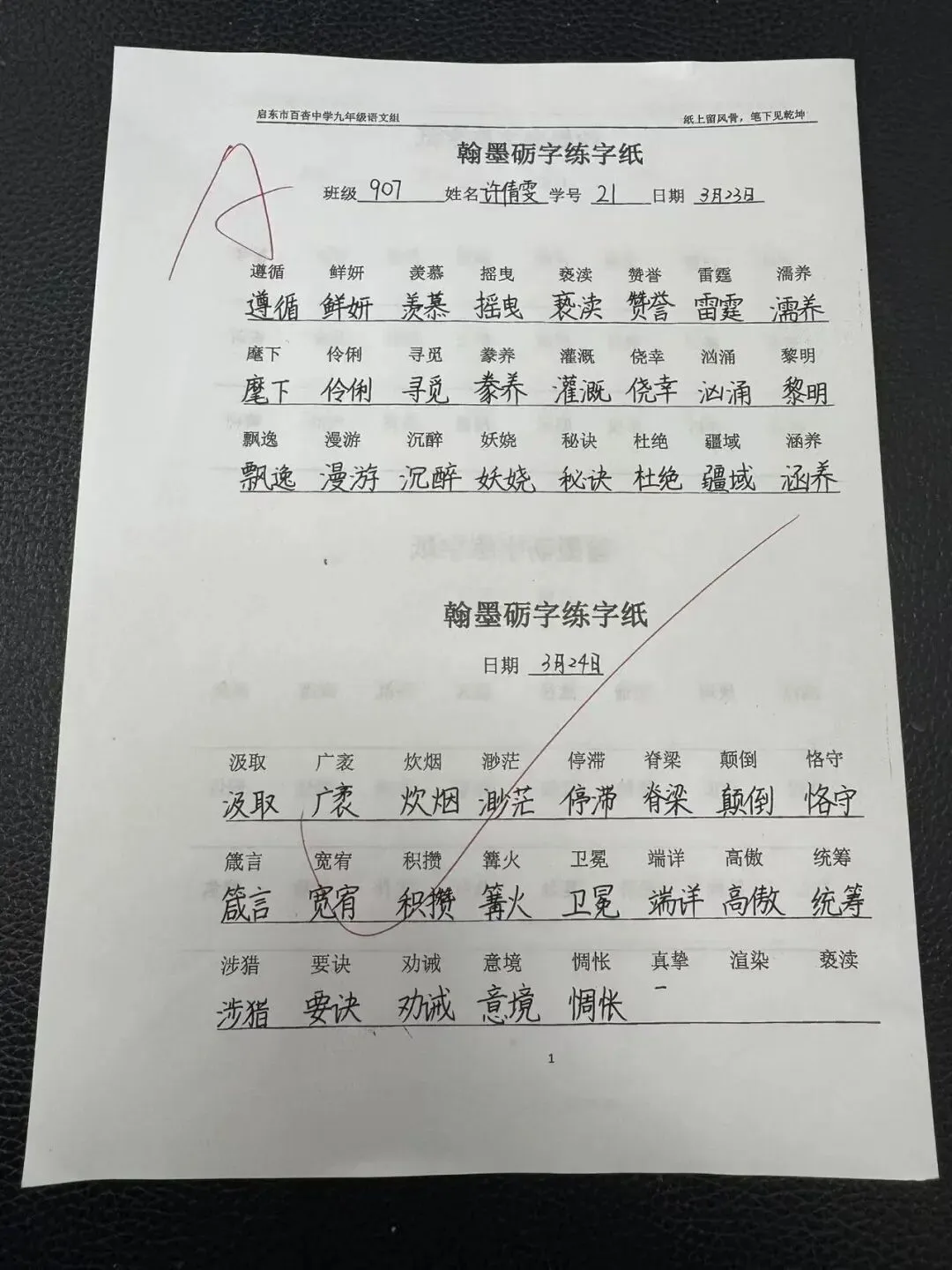 【360°融心课堂】墨润中考,以书提质——百杏中学九年级 “翰墨砺字” 书写工程作品展(第二期) 第14张