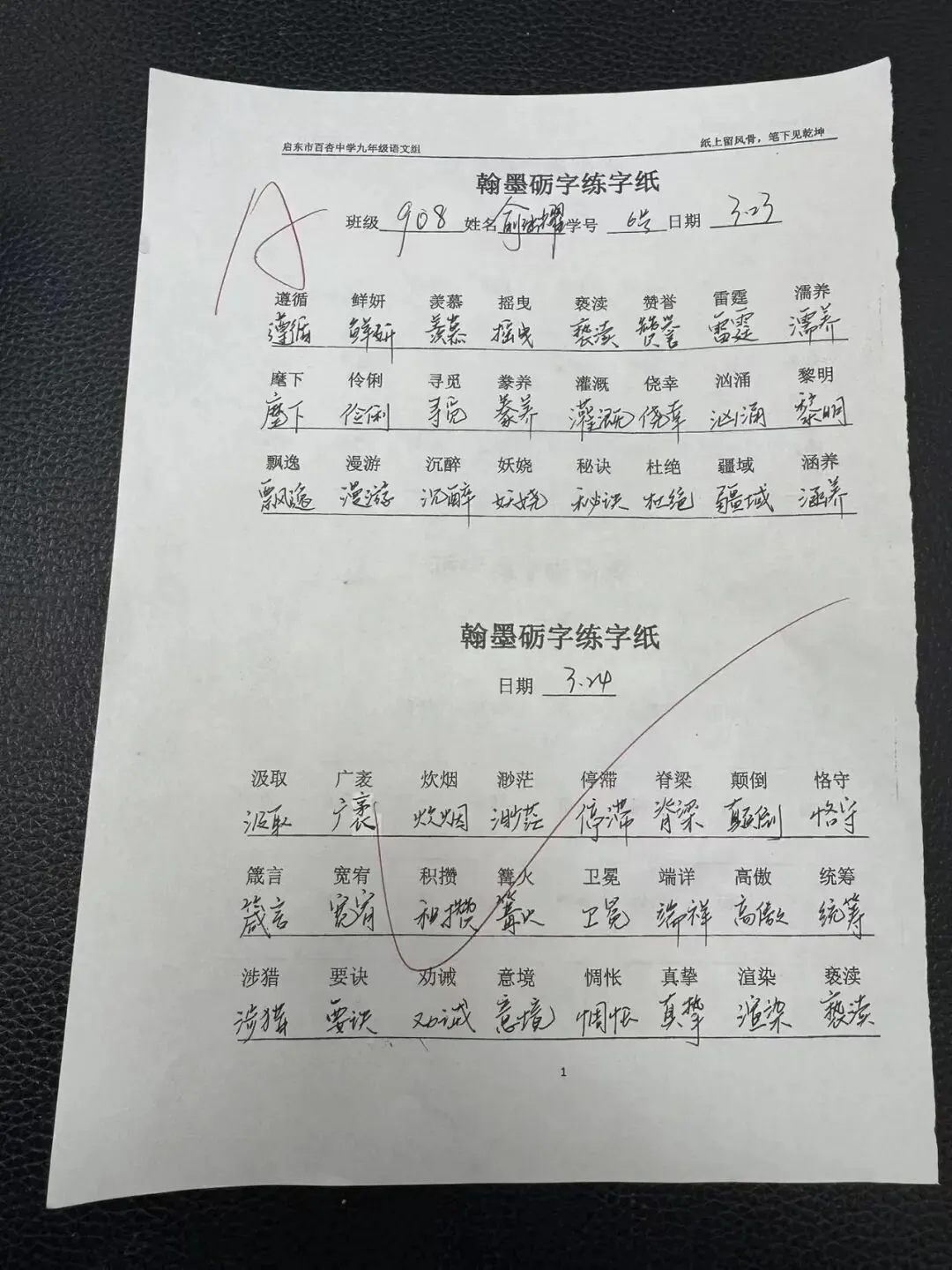 【360°融心课堂】墨润中考,以书提质——百杏中学九年级 “翰墨砺字” 书写工程作品展(第二期) 第16张