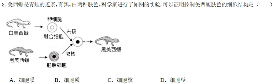 中考科学刷刷刷(四) 第4张