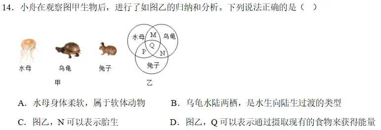 中考科学刷刷刷(四) 第7张