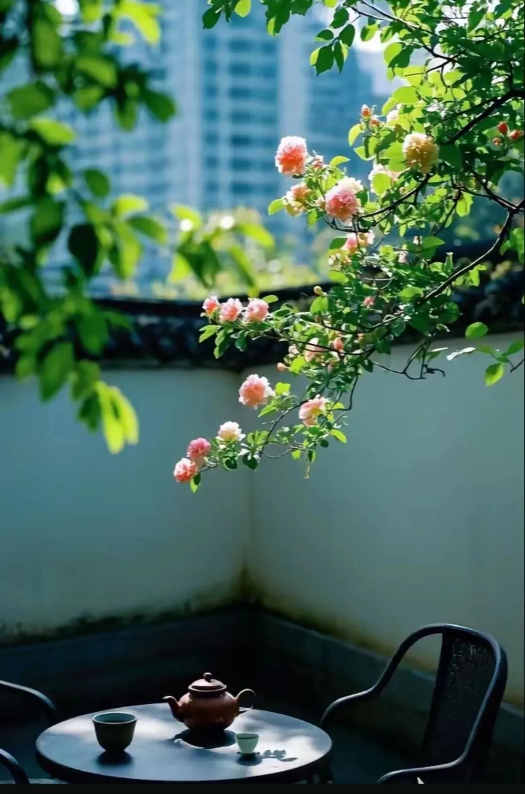 【中考模拟】2026年山西初中学业水平考试模拟监测试卷+听力+答案 第3张