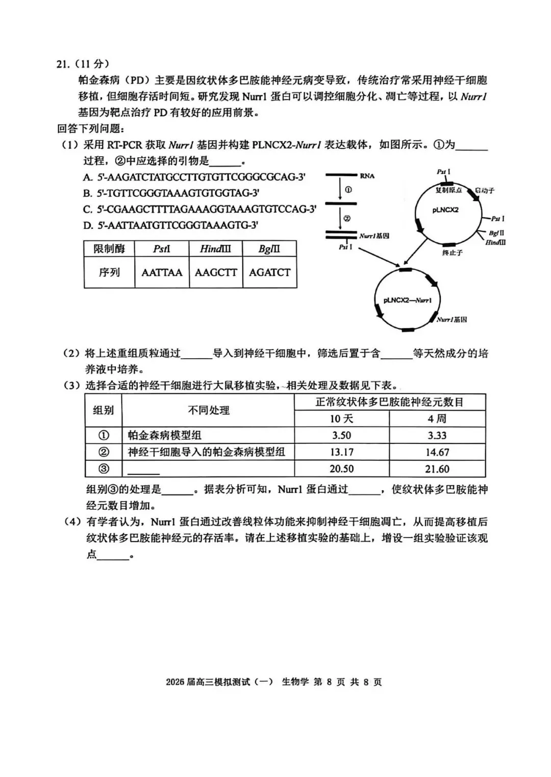 NO:1146M 2026届中山市高三模拟考试(一)生物学试题和评分标准(2026中山一模) 第8张 NO:1146M 2026届中山市高三模拟考试(一)生物学试题和评分标准(2026中山一模) 第8张