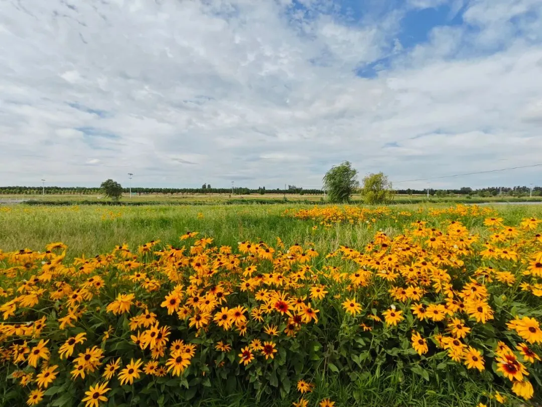 2025年石家庄中考科目、时间、分值、形式等汇总 第4张