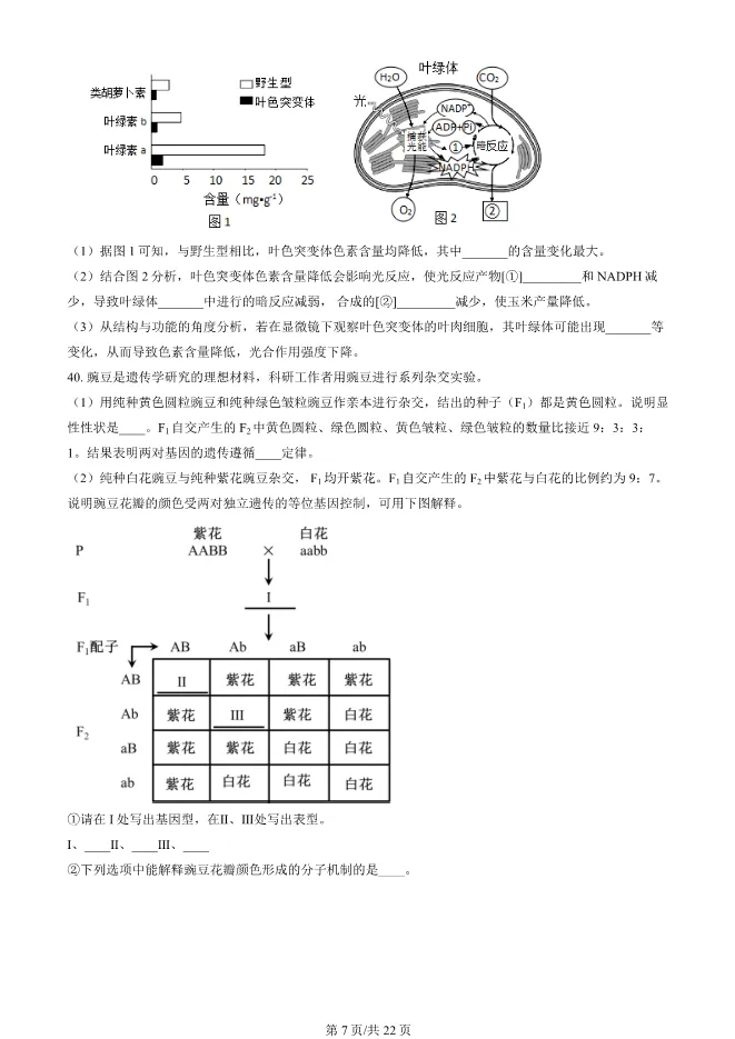 2024北京高中合格考生物试卷生物会考真题(第一次有答案)【可下载】 第7张
