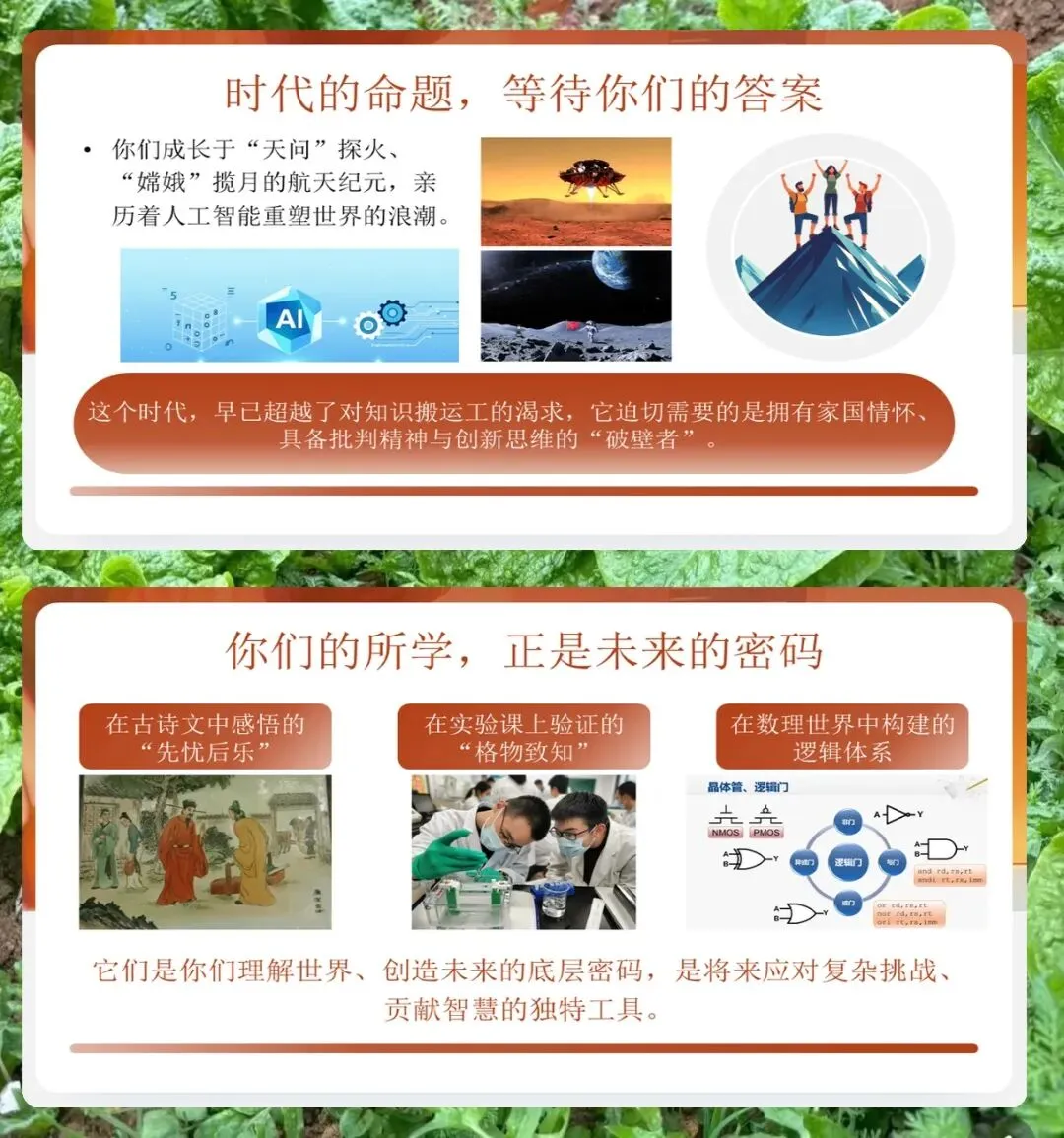 中考百日誓师PPT模板21页,内含誓师策划、倒计时计划、家长学生指南、提升成功率策略、复习冲刺要点、高效学习方法、考前心理调适 第3张