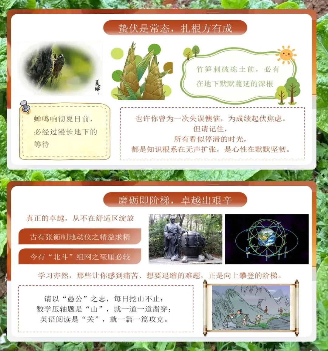 中考百日誓师PPT模板21页,内含誓师策划、倒计时计划、家长学生指南、提升成功率策略、复习冲刺要点、高效学习方法、考前心理调适 第5张