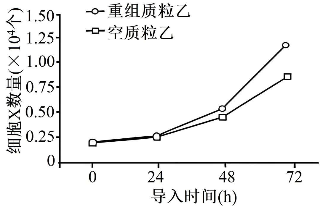 【高考真题】2025年海南卷生物试题 第7张