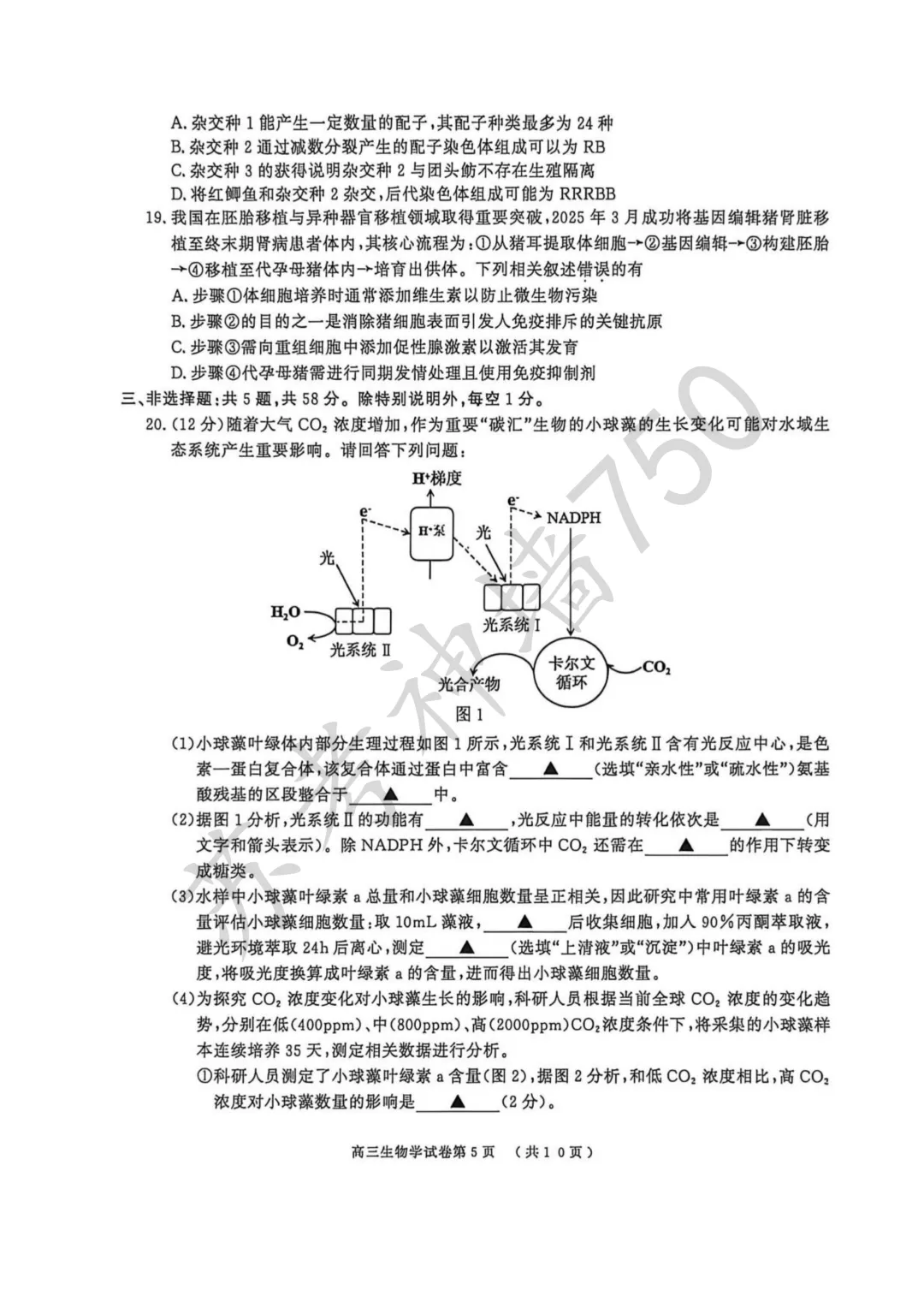 2026届南京市、盐城市高三年级第一次模拟考试 第7张 2026届南京市、盐城市高三年级第一次模拟考试 第7张