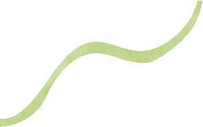精研中考明方向 聚力提质启新程——牡丹区实验中学生物学科大教研活动圆满举行 第1张