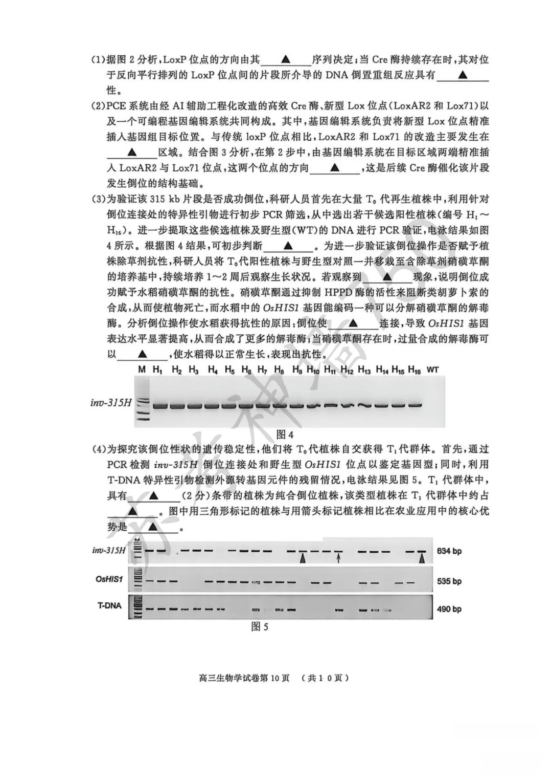 2026届南京市、盐城市高三年级第一次模拟考试 第12张 2026届南京市、盐城市高三年级第一次模拟考试 第12张