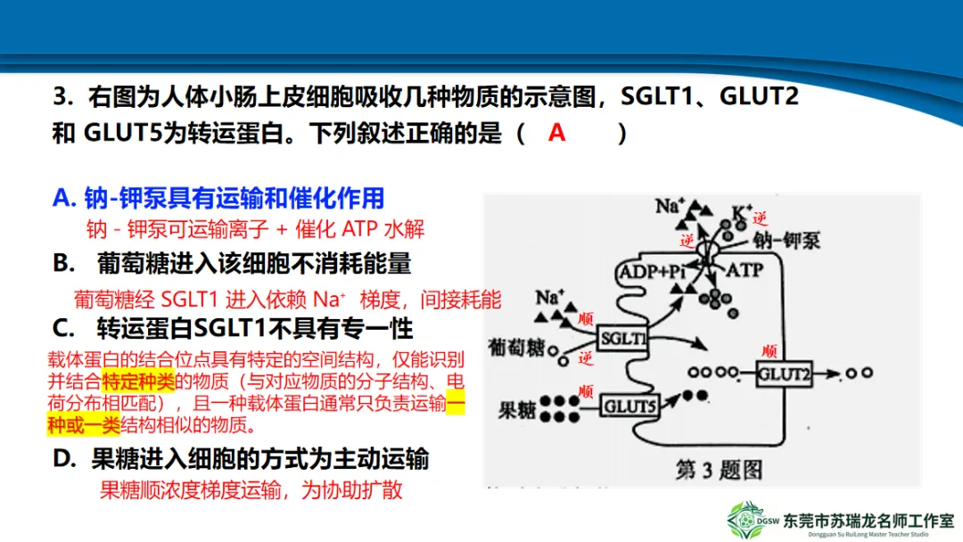 【共研·试题】2026年高三年级模拟考试(生物学)讲评参考2026.3 第15张