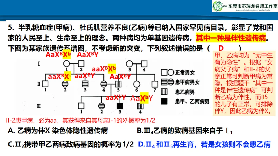 【共研·试题】2026年高三年级模拟考试(生物学)讲评参考2026.3 第17张