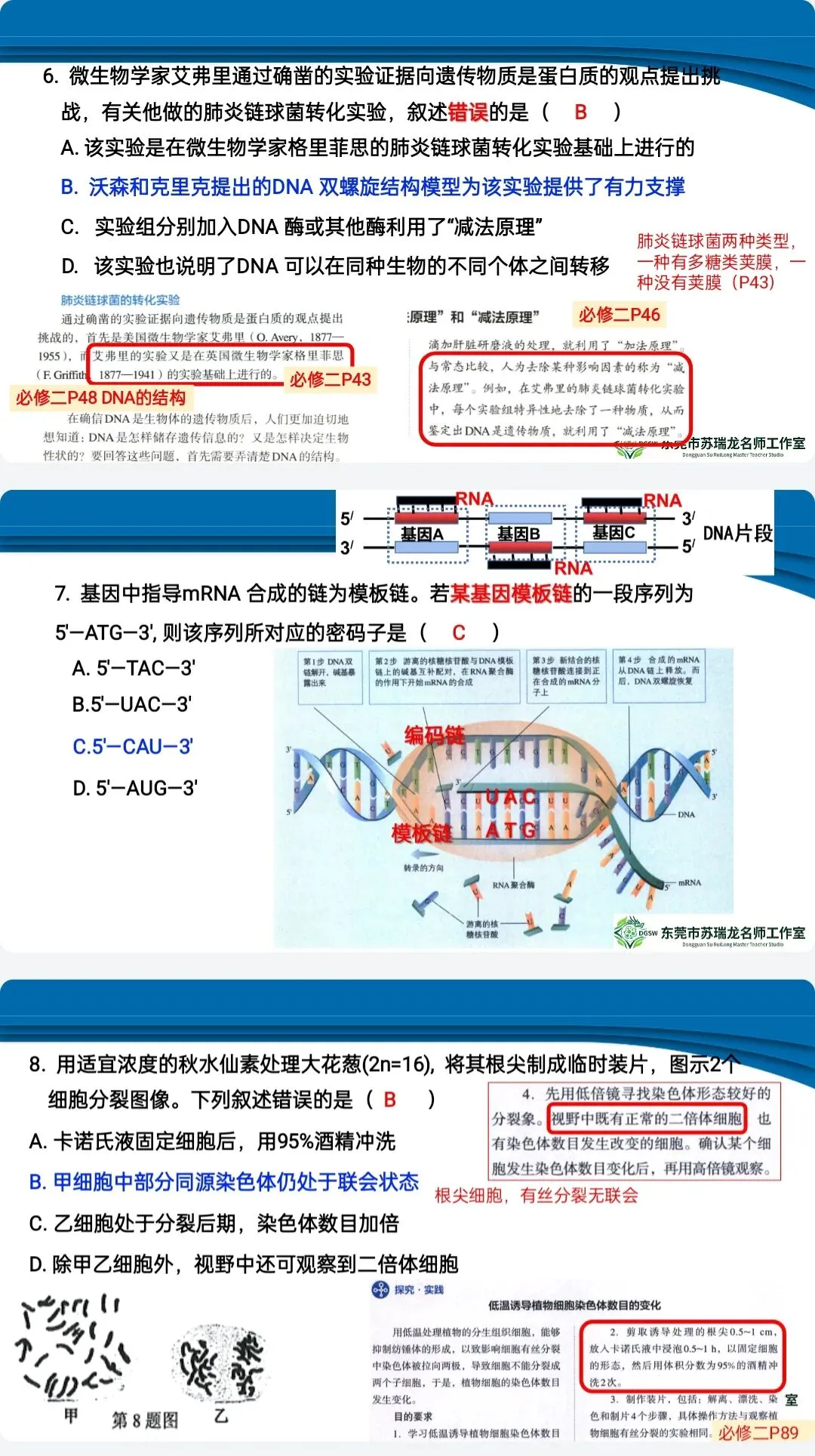 【共研·试题】2026年高三年级模拟考试(生物学)讲评参考2026.3 第18张