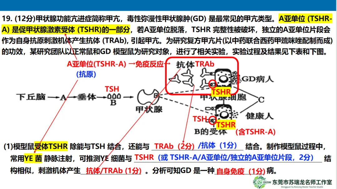 【共研·试题】2026年高三年级模拟考试(生物学)讲评参考2026.3 第25张