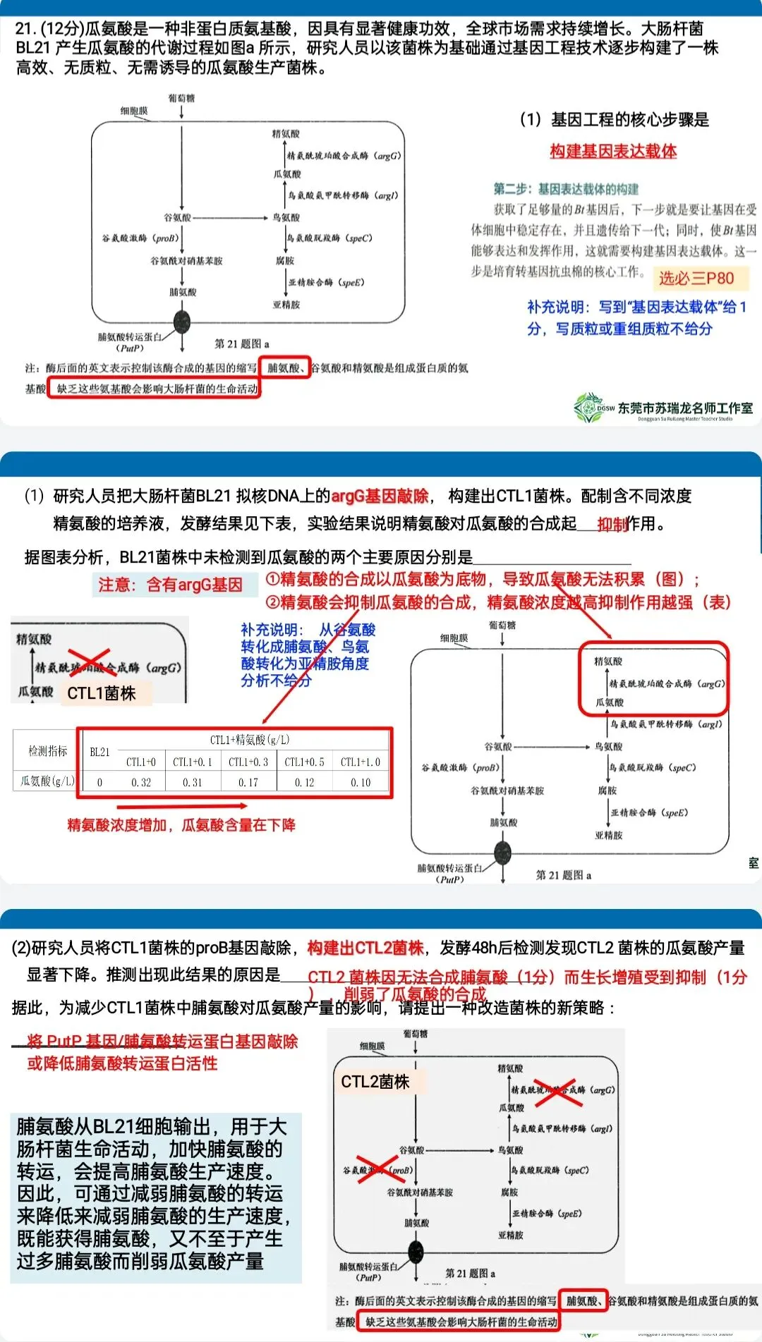 【共研·试题】2026年高三年级模拟考试(生物学)讲评参考2026.3 第28张