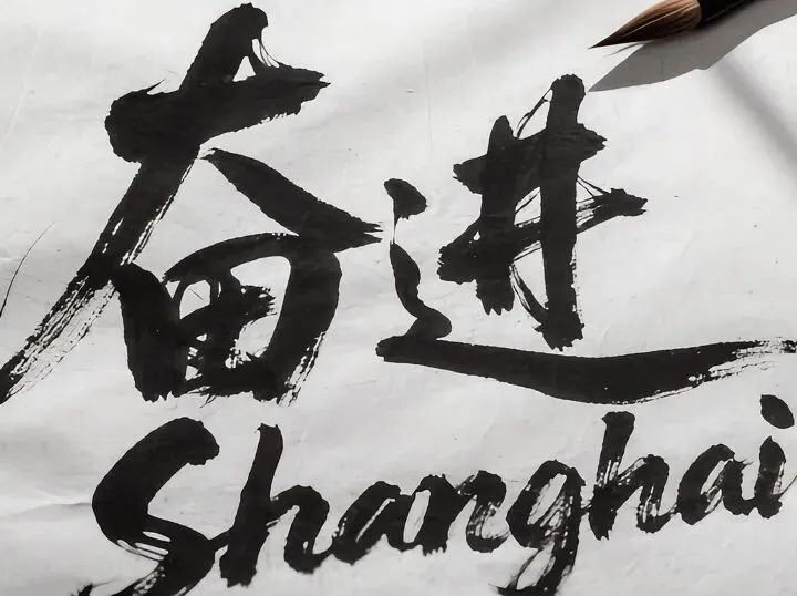 2026年 1 月 上海市浦东新区中考一模作文(指导+范文) 第1张