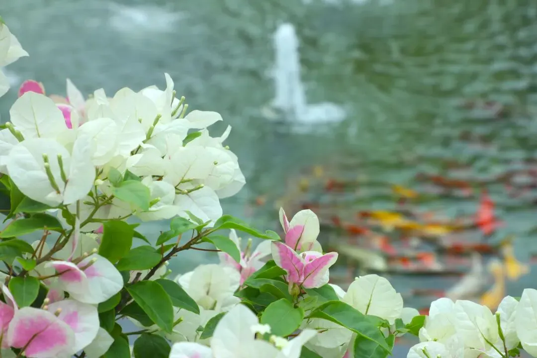 航天筑梦・国防强基|线下中考咨询会,解锁多元升学赛道 第20张