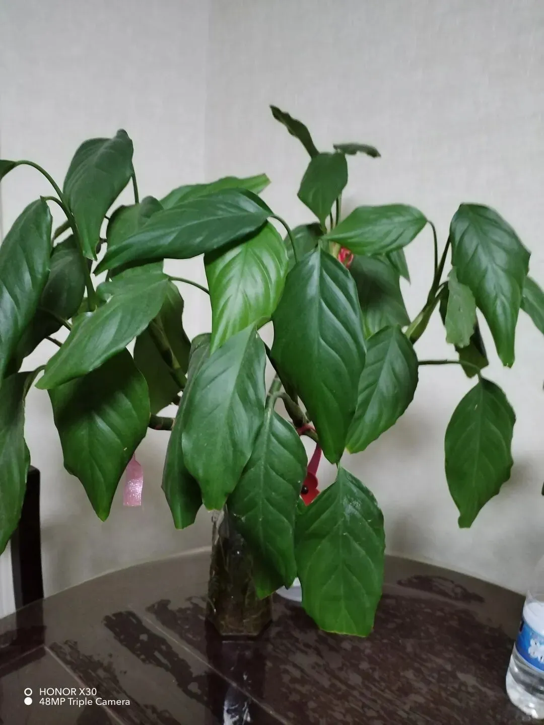 《中考英语作文“提分公式”:5步写出老师忍不住打高分的文章》 第1张